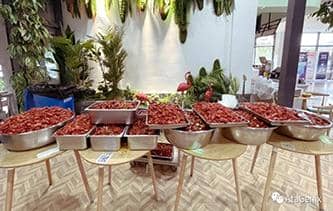 快樂工作，開心生活&mdash;&mdash;普健生物第三屆龍蝦節圓滿結束