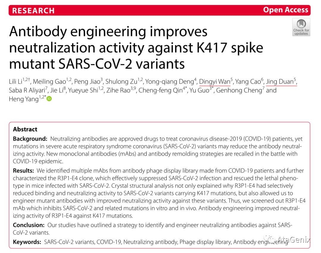 新作見刊|新冠病毒中和抗體的發現與廣譜性親和力的優化