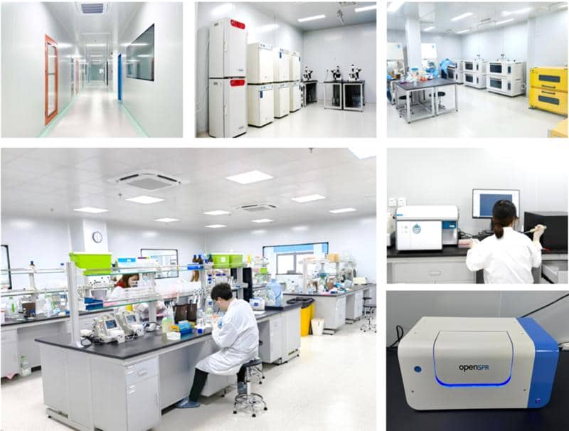 武漢國家生物產業基地公共服務平臺—光谷抗體發現與篩選公共服務平臺