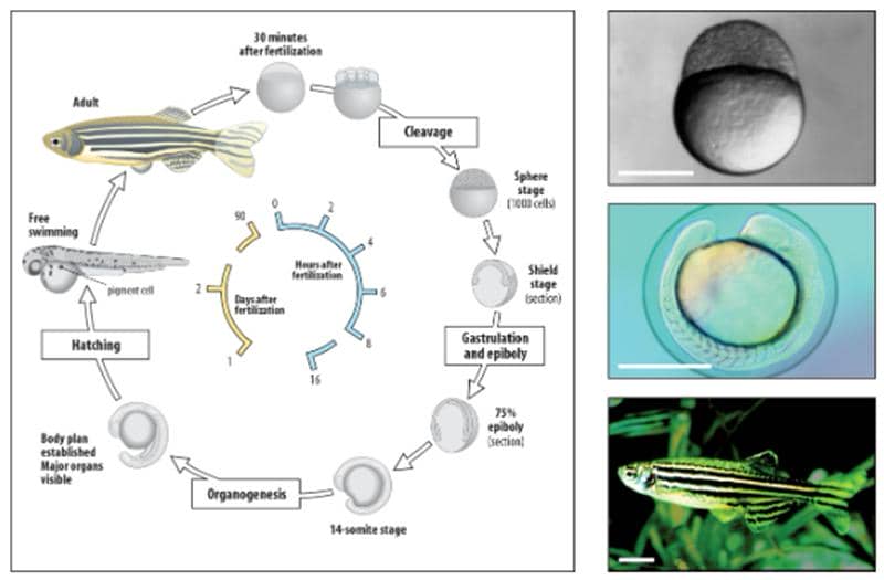 普健生物與環特生物達成戰略合作
