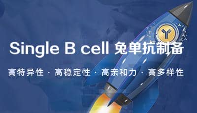 普健生物Xten&trade; Mab Single B 兔 單克隆抗體開發服務驚喜上市