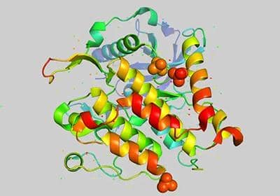 盤點(diǎn)幾種常用的蛋白表達(dá)方式的優(yōu)缺點(diǎn)
