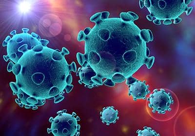 關(guān)于免疫，看這一篇文章就夠了