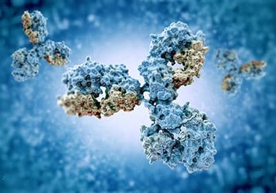 什么是抗獨(dú)特型抗體?它有哪些作用?