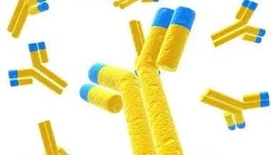 什么是肽鍵?我們常說(shuō)的多肽有什么作用?