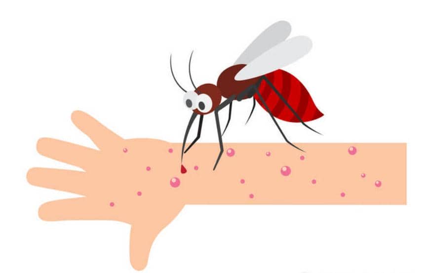 被蚊子發(fā)&ldquo;紅包&rdquo;，你癢就對(duì)了！