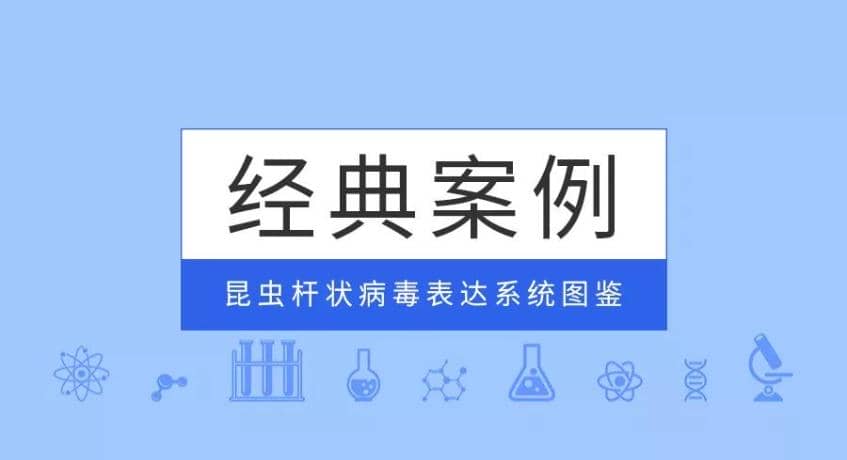 經(jīng)典案例|普健生物昆蟲(chóng)桿狀病毒表達(dá)系統(tǒng)