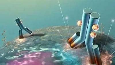 普健生物-抗體保存需要注意的一些事項(xiàng)