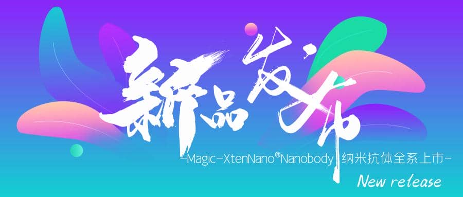 新品發布|Magic-XtenNano&reg;Nanobody納米抗體全系上市