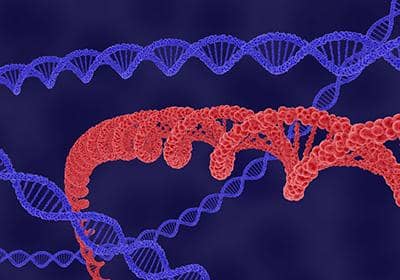 重組蛋白純化后為什么會出現沉淀的情況?該如何解決?