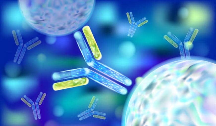 DNA免疫開發單克隆抗體～有你想不到的優勢