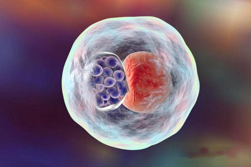 打破包涵體偏見，越深入越了解