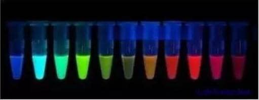 別問蛋白有多少，掌握定量方法再來說