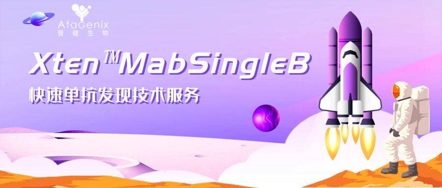 新一代兔單克隆抗體開(kāi)發(fā)技術(shù)優(yōu)勢(shì)及開(kāi)發(fā)平臺(tái)選擇