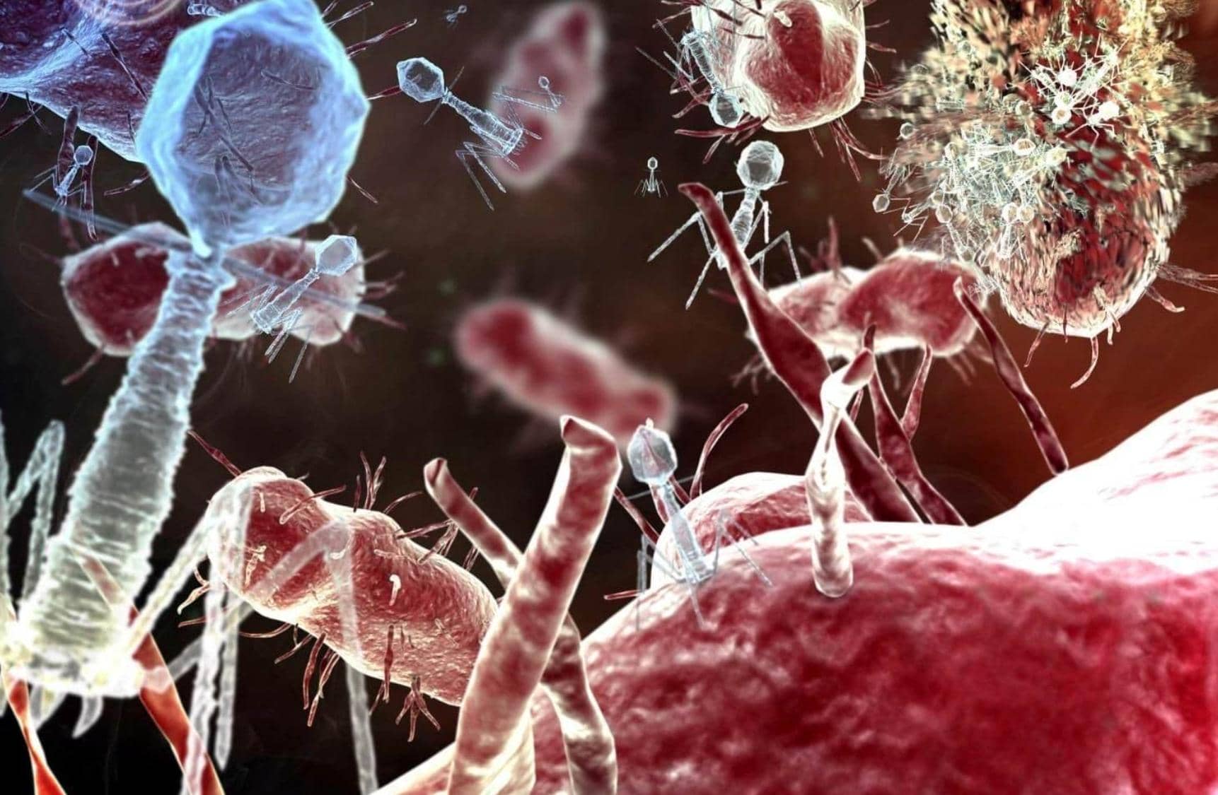 噬菌體展示技術(shù)應用于抗體藥物研發(fā)的關(guān)鍵步驟和技術(shù)經(jīng)驗