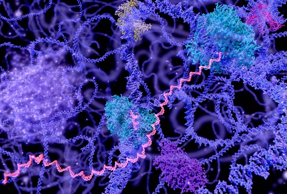 為什么重組蛋白制備過程中會出現沉淀的現象?如何避免?