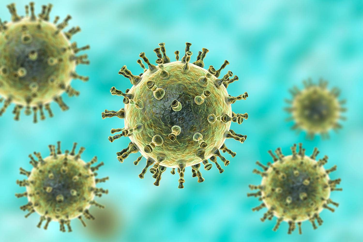 引發(fā)百億市場爭奪戰(zhàn)的帶狀皰疹病毒（VZV）到底是何方神圣？