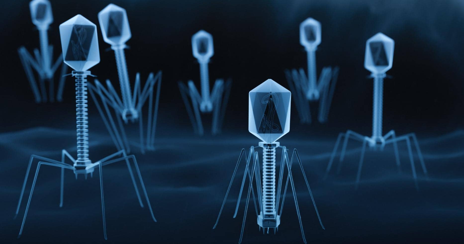 跨行業(yè)應用！利用噬菌體展示技術(shù)開發(fā)高效結(jié)晶添加劑