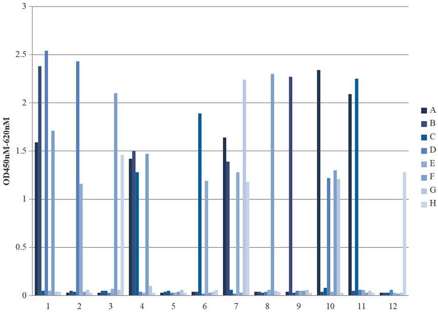 單克隆ELISA驗證