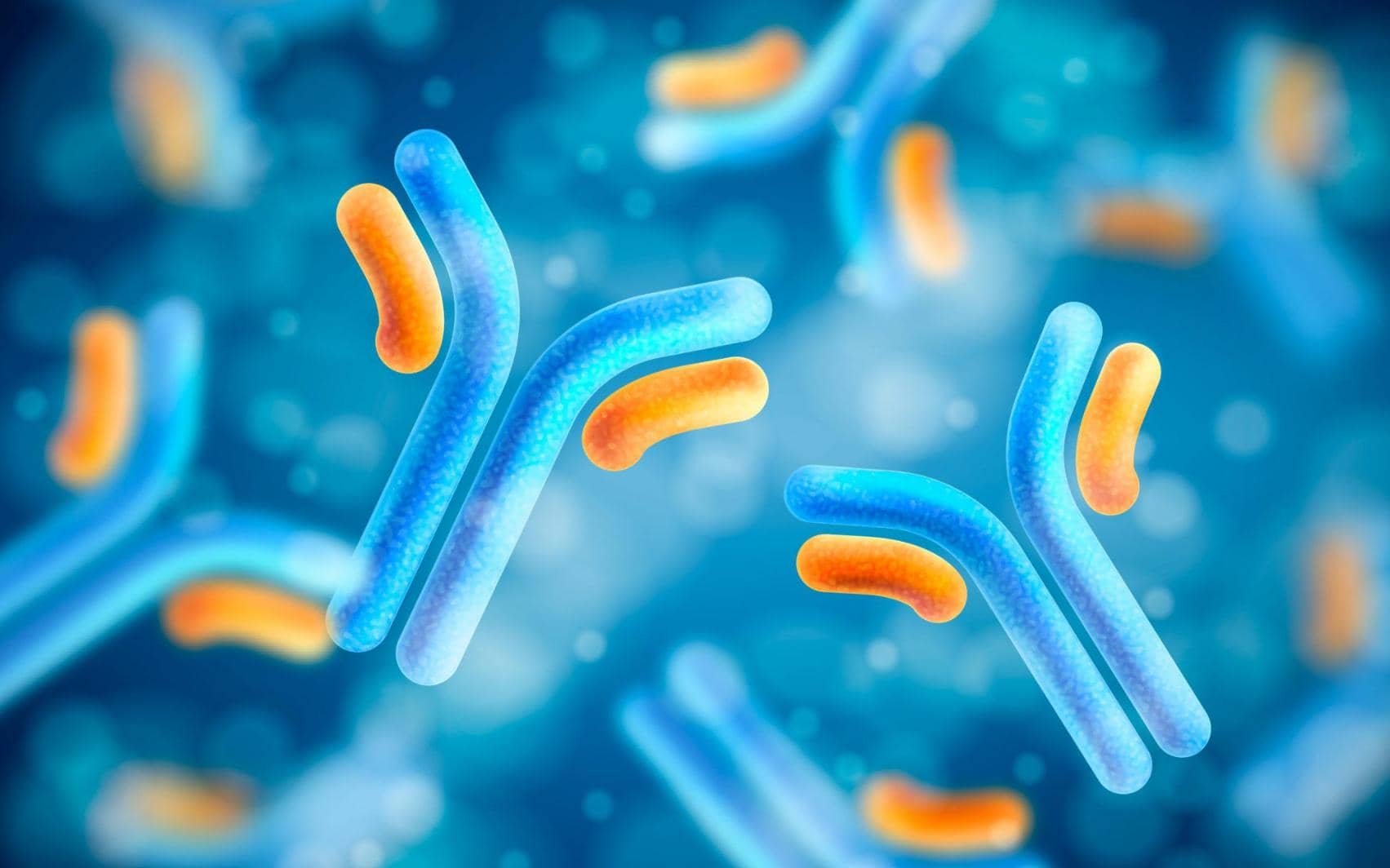 從雜交瘤技術(shù)到單B細胞技術(shù)：單克隆抗體技術(shù)發(fā)展史