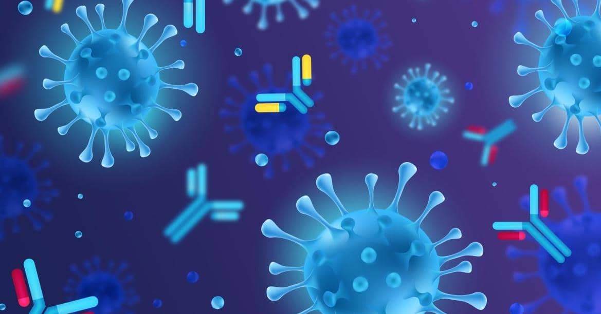 免疫噬菌體抗體文庫中的感染性疾病抗體在生物醫學中的應用