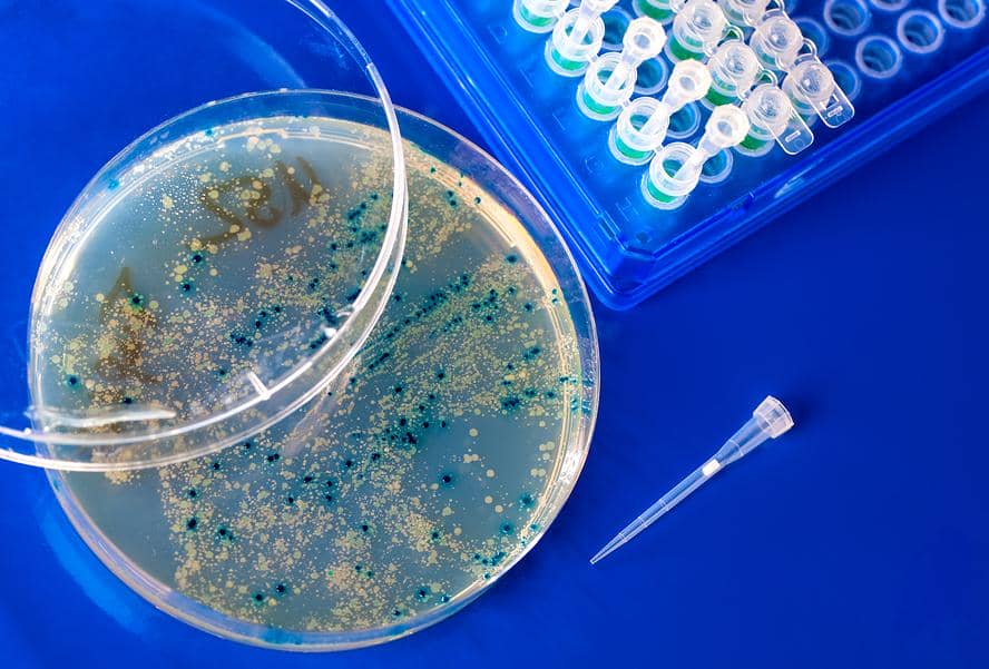 加快藥物發現過程的抗體庫