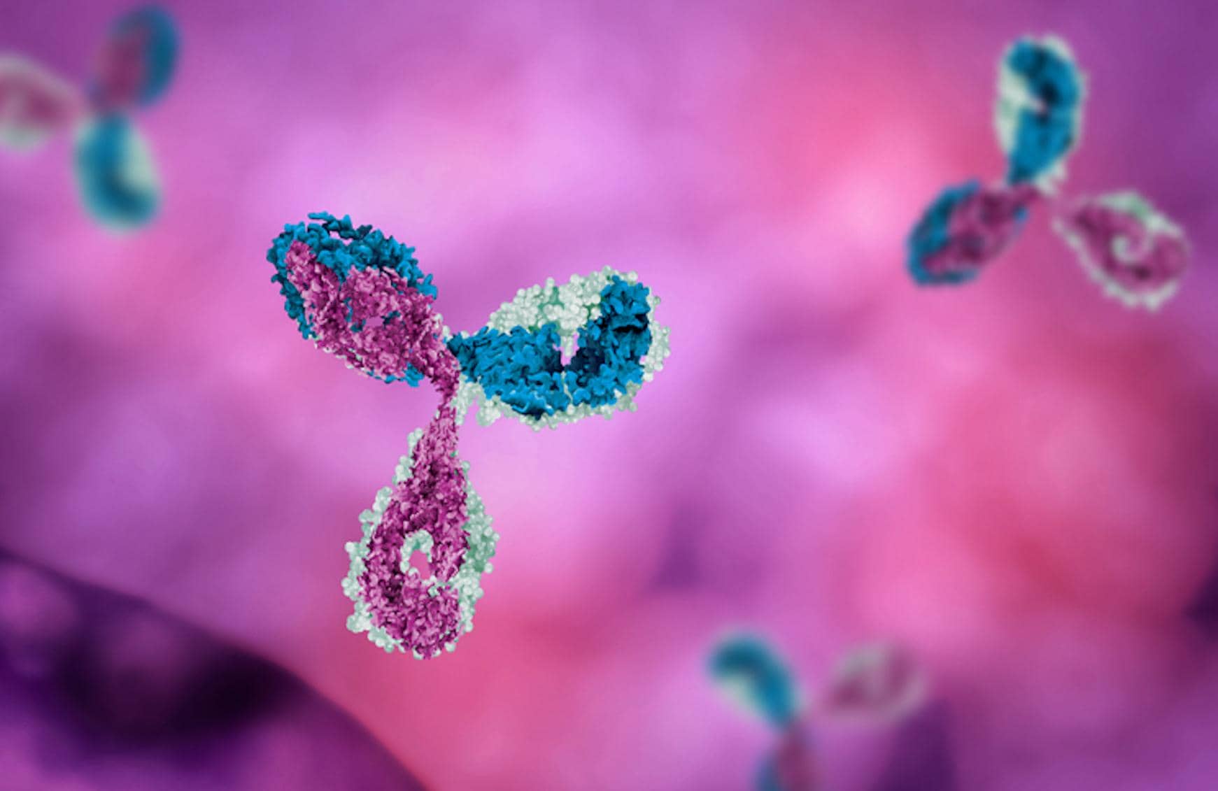 Tfh細胞中Trim37泛素化調控Bcl6功能和影響抗體形成的新機制