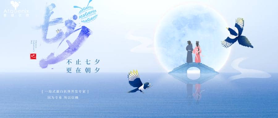 科研人CP指南|誰是你的科研搭子？？