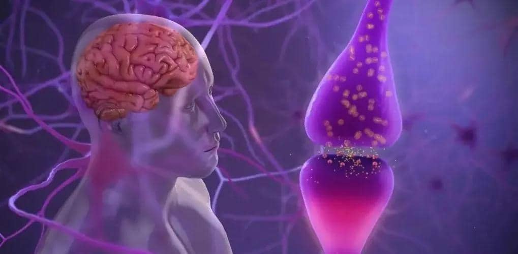 進行帕金森疾病研究的單克隆抗體