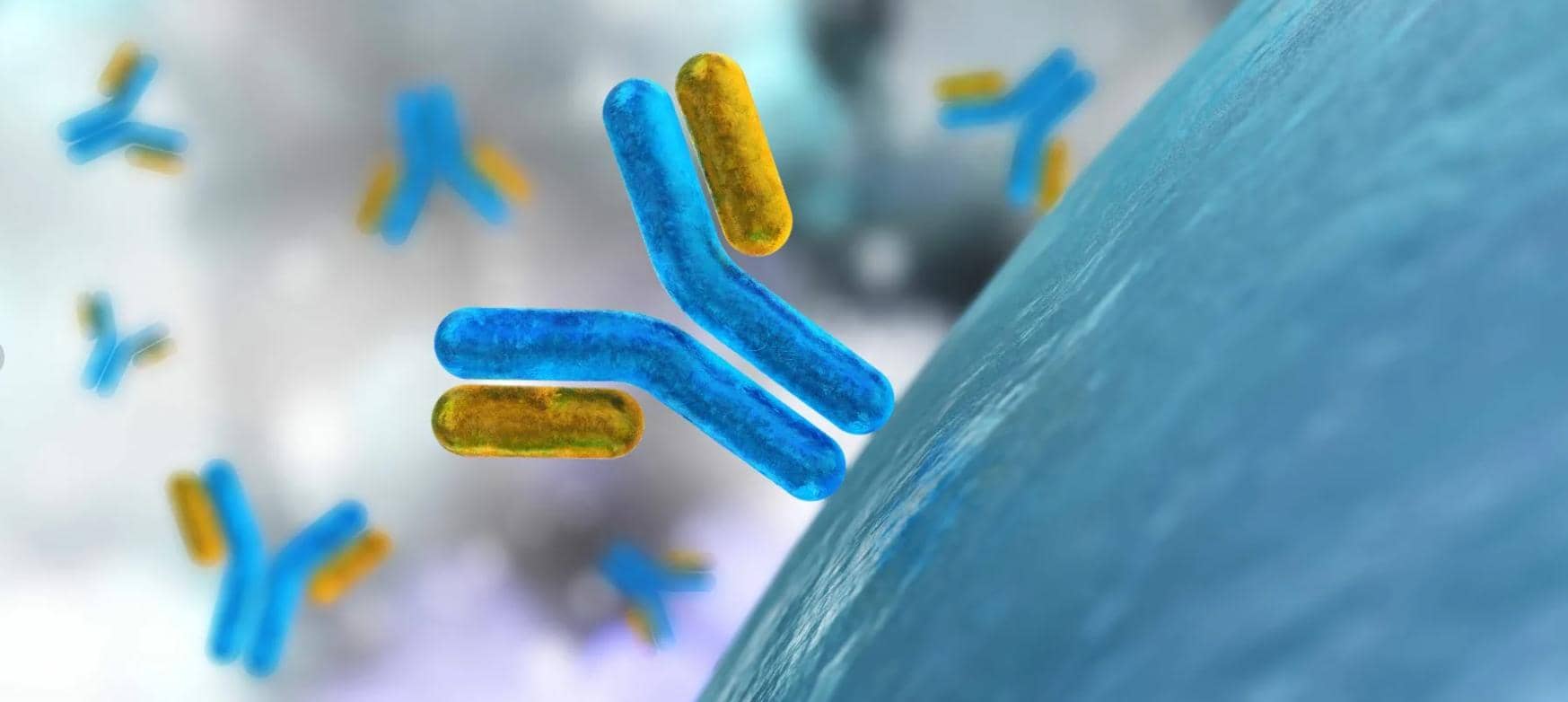 新一代&Prime;生物技術(shù)導(dǎo)彈&Prime;&mdash;&mdash;對(duì)腫瘤免疫策略有重大意義的納米抗體（上）