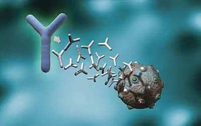 盤(pán)點(diǎn)重組抗體的幾種形式