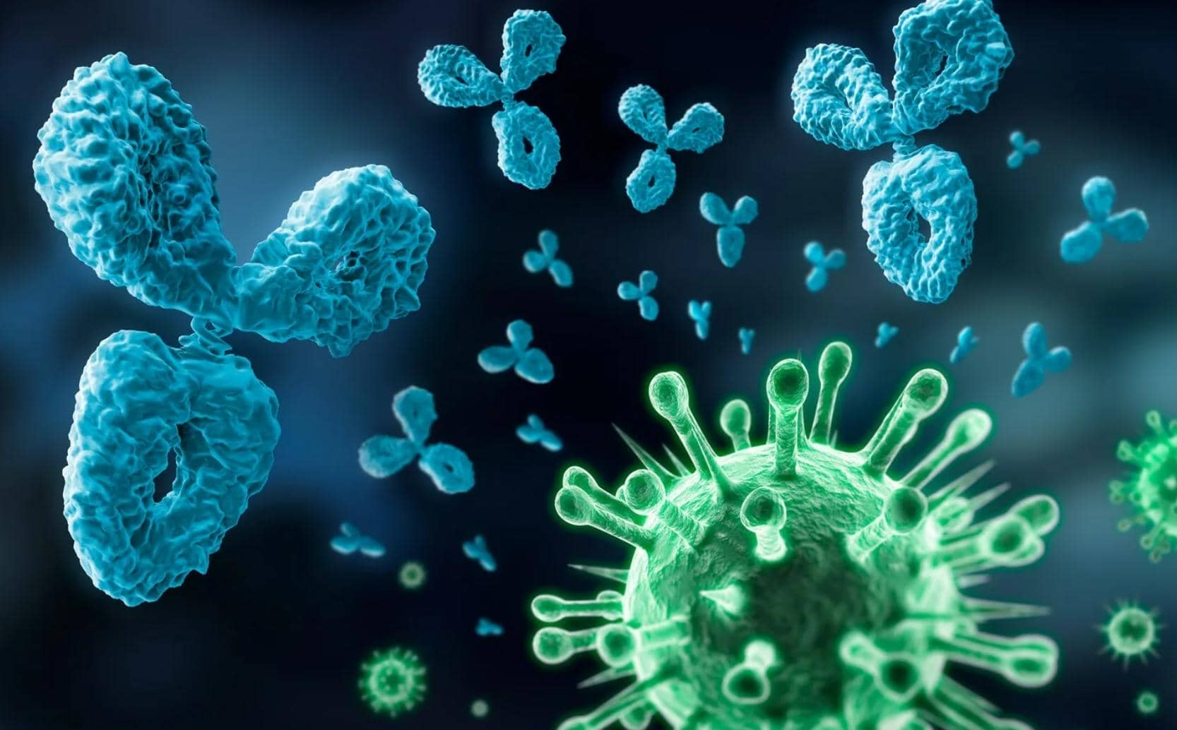 納米抗體在腫瘤、病毒感染、抗生素、解毒劑的臨床應(yīng)用