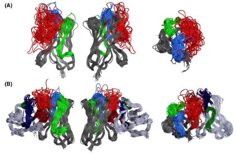 納米抗體如何實現如此高的特異性？