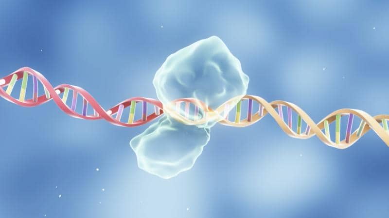 重組蛋白質在大腸桿菌體系中的可溶性表達策略