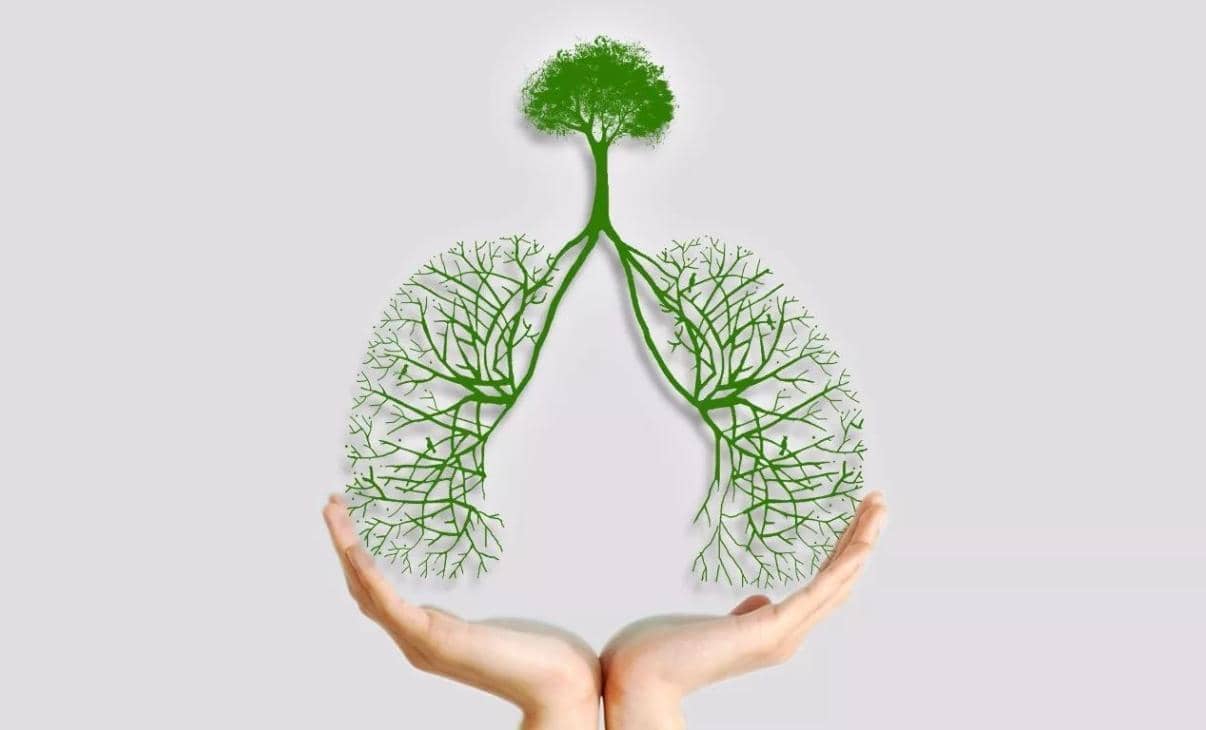 USP18介導(dǎo)的蛋白質(zhì)在結(jié)核病等傳染病中的作用機制及臨床研究