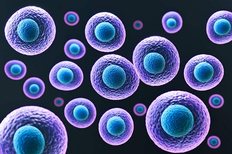 穩定細胞株構建過程中的一些常見問題盤點