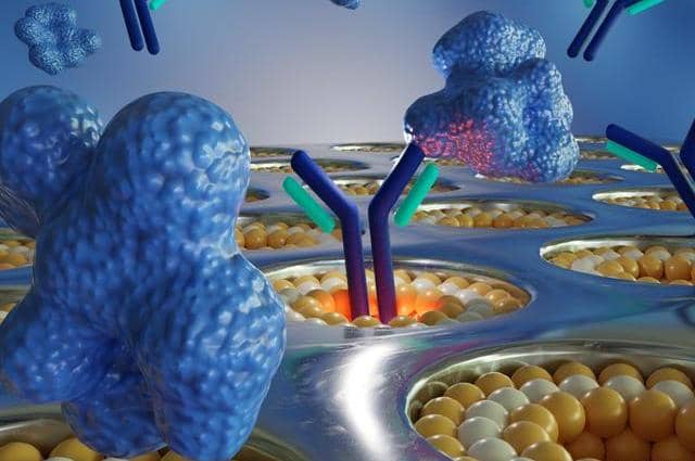 雜交瘤、噬菌體以及單B細胞技術該選擇哪個?