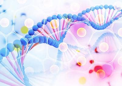 什么是融合蛋白表達?如何實現表達的方法?