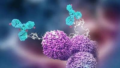 關于蛋白純化，你了解多少?