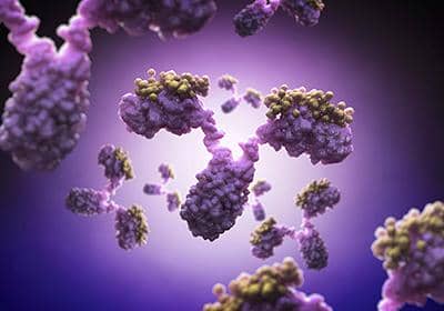 關于單克隆抗體制備您了解多少?