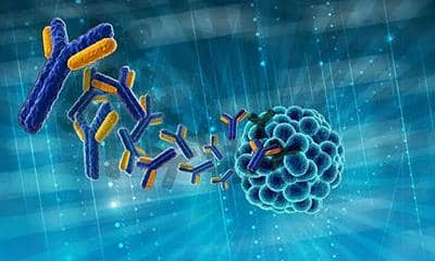 抗原制備時常用的方法、條件及制備方式