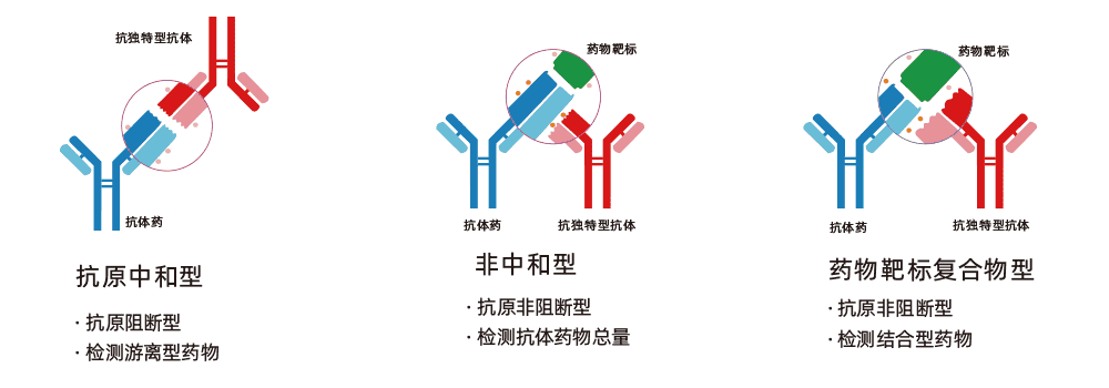 抗獨(dú)特型抗體制備