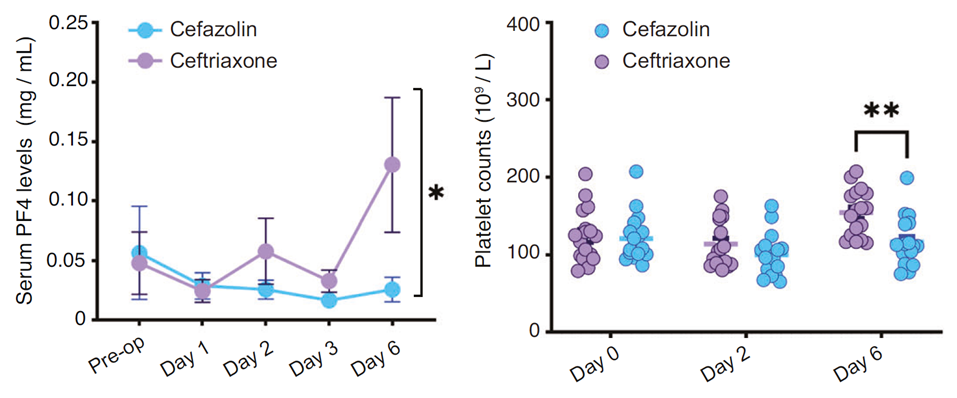 Ceftriaxone抑制C3上調(diào)、維持PF4水平，發(fā)揮認知保護作用