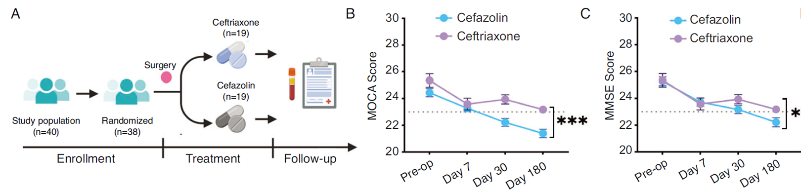 Ceftriaxone顯著降低老年患者術(shù)后PNCD發(fā)生率，改善認知功能。