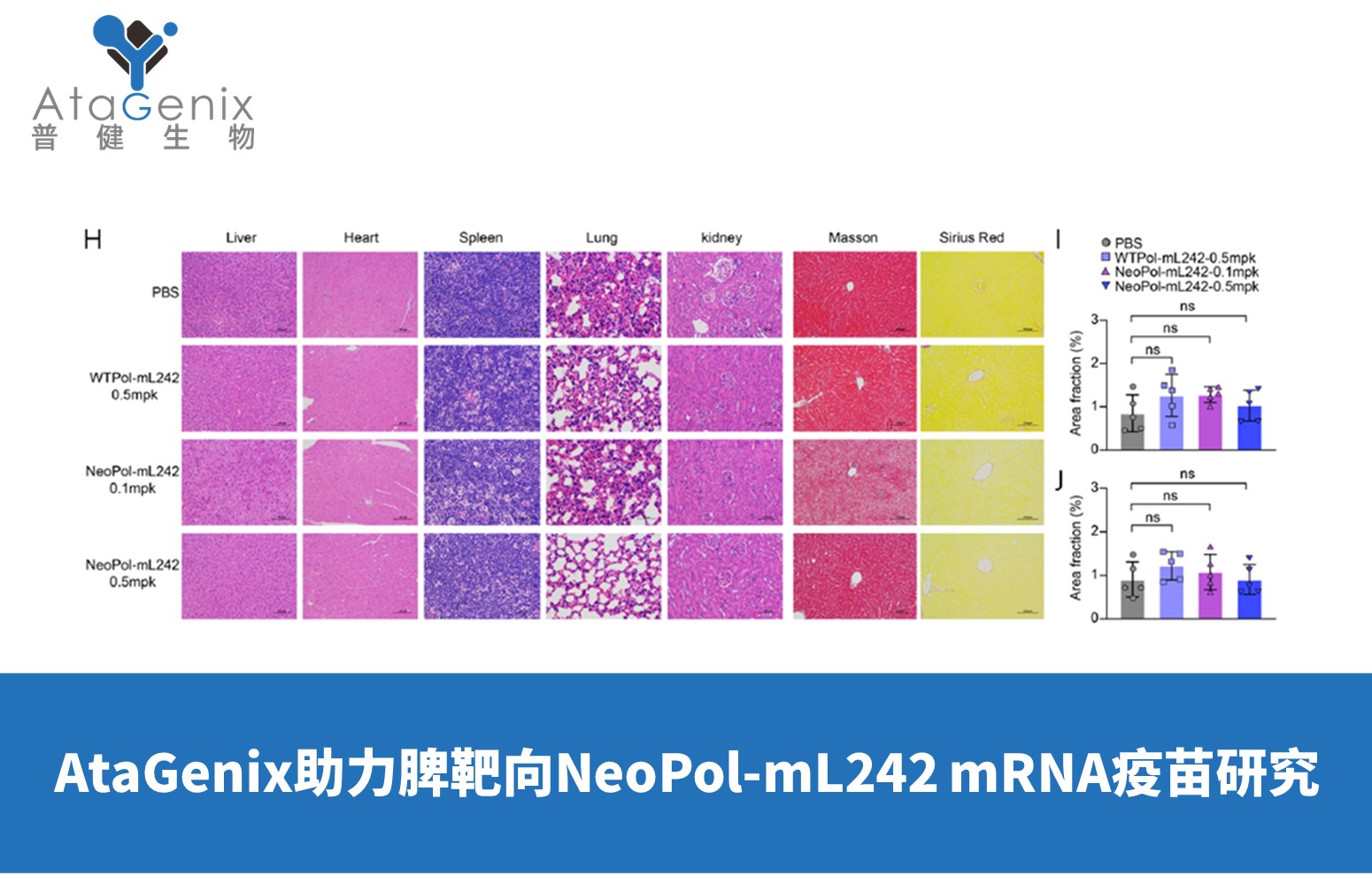 普健生物助力脾靶向NeoPol-mL242 mRNA疫苗研究