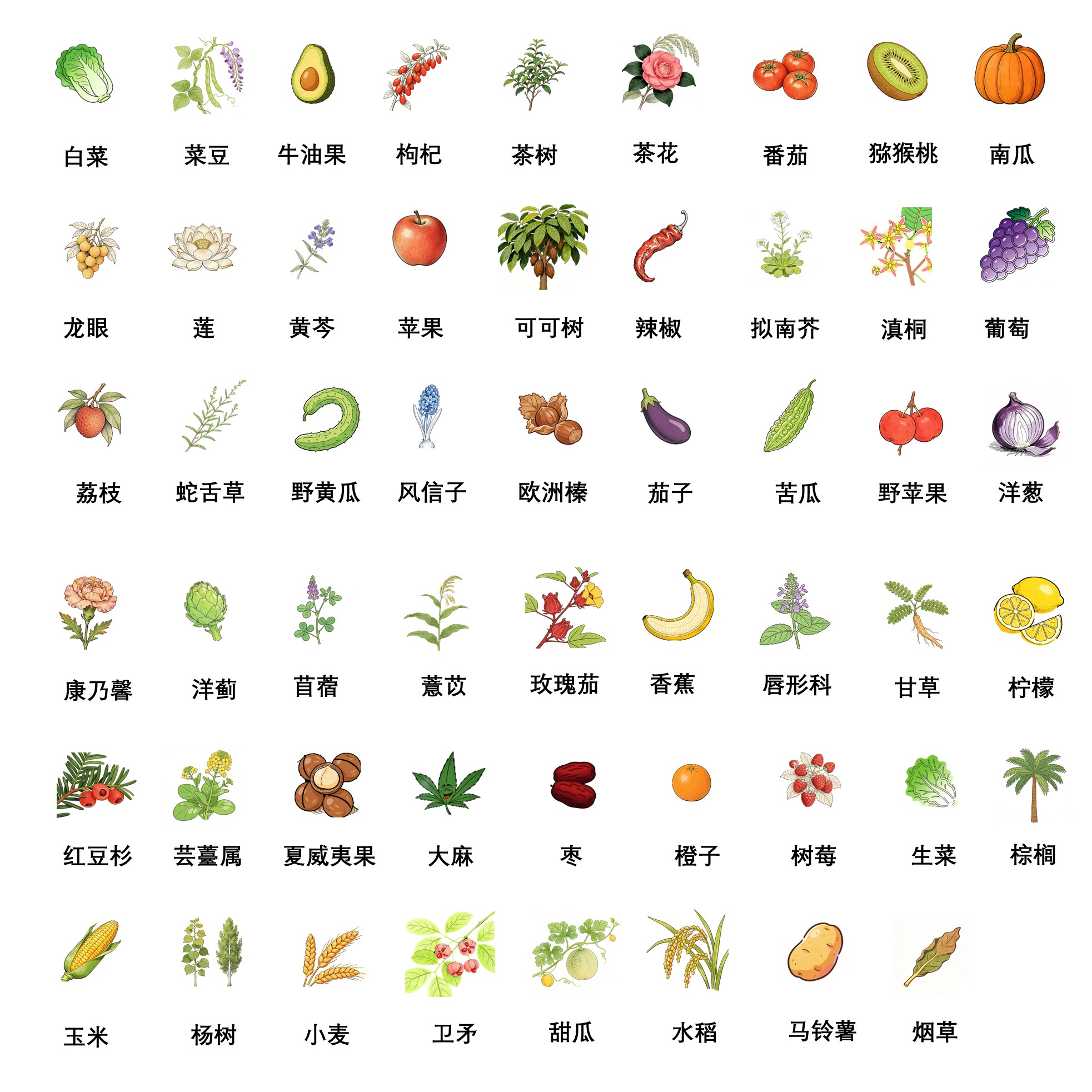 AtaGenix定制CENH3項目涉及物種