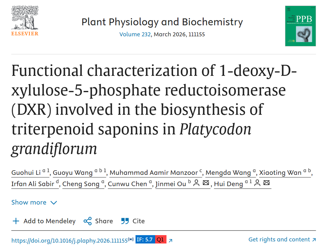 Functional characterization of 1-deoxy-D-xylulose-5-phosphate reductoisomerase(DXR) involved in the biosynthesis of triterpenoid saponins in Platycodon grandiflorum