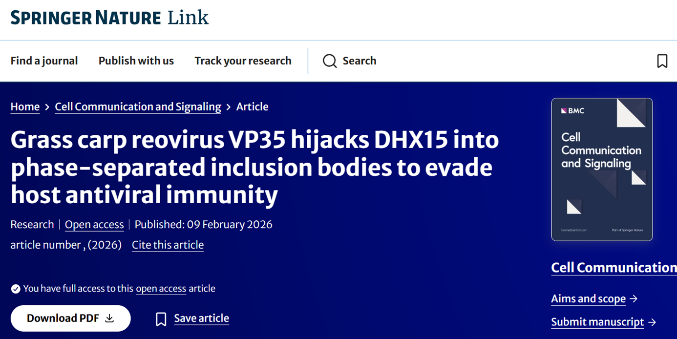 Grass carp reovirus VP35 hijacks DHX15 intophase-separated inclusion bodies to evade hostantiviral immunity