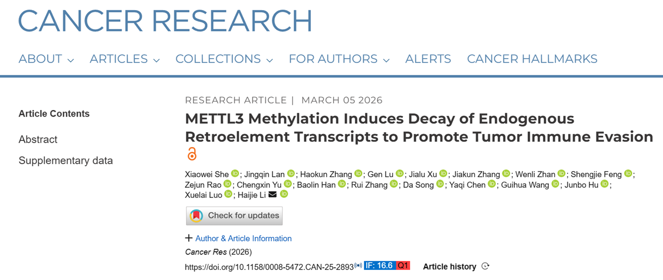 METTL3 Methylation Induces Decay of Endogenous Retroelement Transcripts to Promote Tumor Immune Evasion